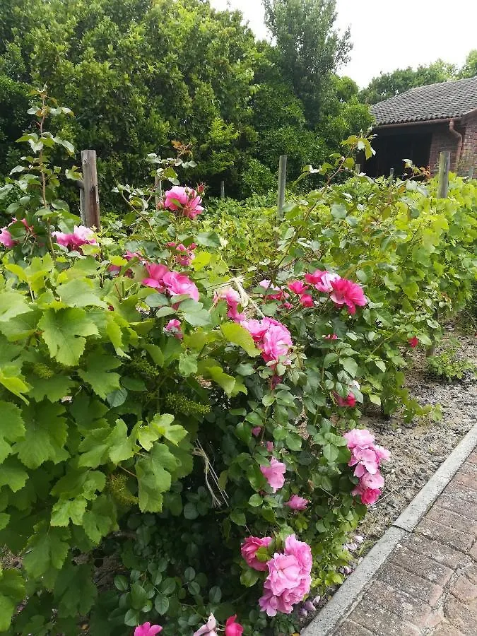 Bed and Breakfast Le Petit Vignoble Ciudad del Cabo