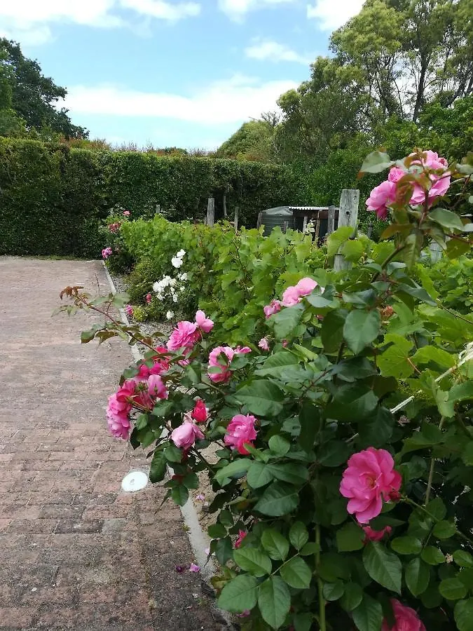 Bed and Breakfast Le Petit Vignoble Ciudad del Cabo