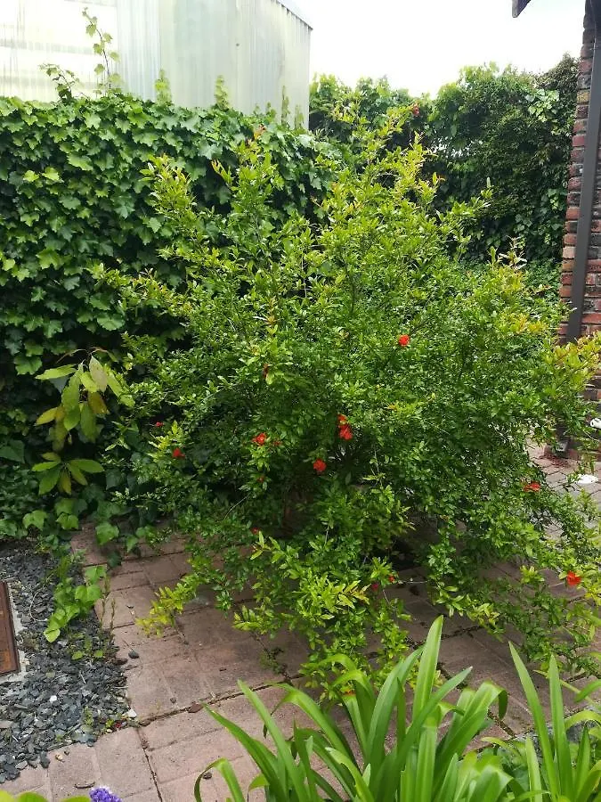 Bed and Breakfast Le Petit Vignoble Ciudad del Cabo
